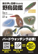 鳴き声と羽根でわかる野鳥図鑑の表紙