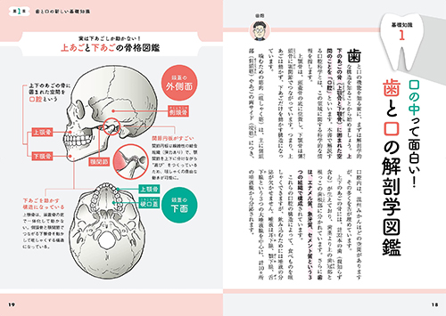 新しい歯の教科書　口内環境は、全身の健康につながるの画像