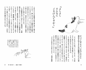 猫に言いたい　たくさんのこと　親愛なる君にもっと好かれる73の方法の画像