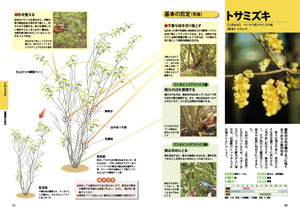 ひと目でわかる 庭木の剪定 株式会社 池田書店