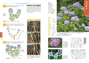 剪定もよくわかる庭に植えたい樹木と草花の画像