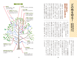 切る枝がよくわかる庭木の剪定 大切に育てるための樹木とのつきあい方 株式会社 池田書店