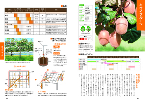 剪定もよくわかるおいしい果樹の育て方 株式会社 池田書店