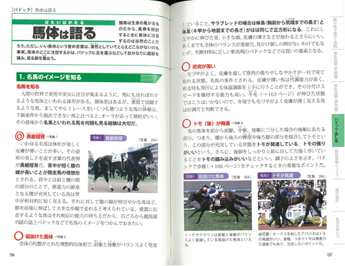 勝ち馬がわかる競馬の教科書の画像