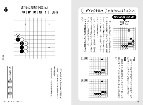 井山裕太の碁 AI時代の新しい定石の画像