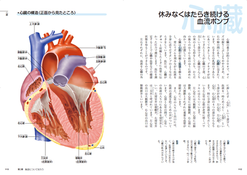 マンガでわかる人体のしくみの画像