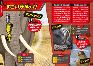 強い 速い 大きい 世界の生物no 1事典 株式会社 池田書店 強い 速い 大きい 世界の生物no 1事典 株式会社 池田書店
