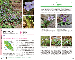 自然散策が楽しくなる！　草花・雑草図鑑の画像