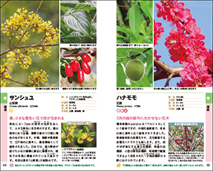 自然散策が楽しくなる！　花図鑑の画像